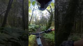 Ultimate MTB Trail [upl. by Irafat324]