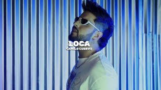 Camilo Cuervo  Loca   Visualizer [upl. by Barling]