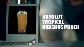 ABSOLUT TROPICAL HIBISKUS PUNCH DRINK RECIPE  HOW TO MIX [upl. by Ainafets]