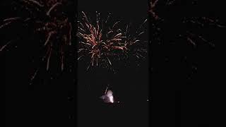 Pyro Brats 118 shot fireworks finale cake pkg 11 [upl. by Anahsak181]