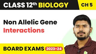 Non Allelic Gene Interactions  Principles of Inheritance and Variation  Class 12 202223 [upl. by Irrehs619]