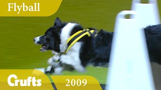 Flyball  Team Finals 2009  Crufts Dog Show [upl. by Romonda]