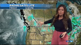 Danielle Savoni  CTV News Calgary  Friday June 28 2024 calgary [upl. by Hoeve]