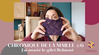 CHRONIQUE DE LA MAILLE 6  jai monté le gilet Belmont [upl. by Ion386]