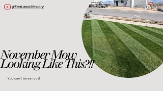 November Lawn Mow Thriving Green Grass Late in the Season [upl. by Ahsatsan406]