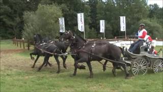 Benjamin Aillaud  CAIO 4 NEBANICE  extrait Marathon [upl. by Ennirroc]