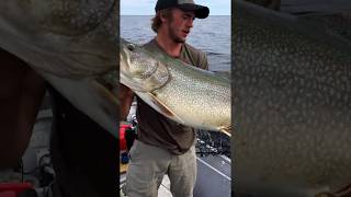 Massive Lake Trout [upl. by Aneehsar]