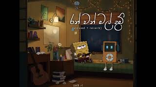 රන් වන් මල් දම් slowed  reverb Full song 💖  Ranwan mal dam [upl. by Liggett]