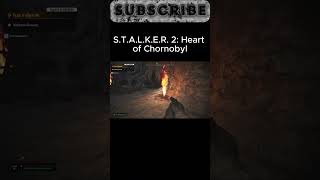 S T A L K E R 2 Heart of Chornobyl Сканер Топаз shorts stalker2 stalker2024 [upl. by Claudetta578]