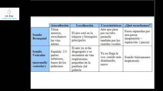 Ruidos Respiratorios normales Explicacion  Auscultacion Semiologia [upl. by Jakoba881]