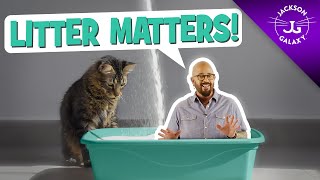 Litter Box Issues Why Litter Matters [upl. by Zel]