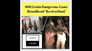 High FOC 600 Grain Broadhead I Ranch Fairy quotReviewHuntquot [upl. by Sigvard]