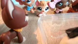 LPS  quotZakręceniquot 14 Littlest Pet Shop [upl. by Ettellocin626]