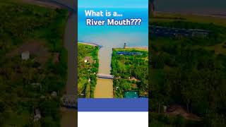 🏞️ What is a River Mouth What are River Mouths River Mouth Explained rivermouth river rivers [upl. by Ahtelat778]