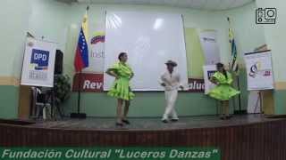 Pajarillo Venezolano  Fundación Cultural quotLuceros Danzasquot  Wiliyo Producciones [upl. by Aribold]