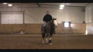 Western Pleasure Training with Jamie Novak part 1 [upl. by Lorri248]