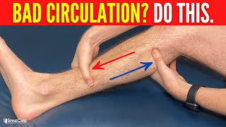 How to INSTANTLY Improve Leg Circulation and Blood Flow [upl. by Hisbe718]