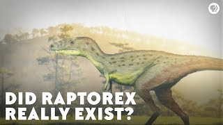 The Raptor That Made Us Rethink Dinosaurs [upl. by Tut]