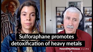 Sulforaphane promotes detoxification of heavy metals  Jed Fahey [upl. by Etiragram]