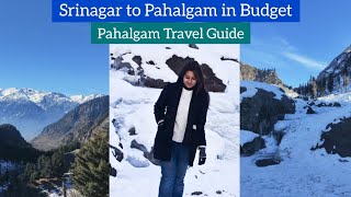 Srinagar to Pahalgam in Rs 220  Pahalgam Travel Guide  Places to Explore in Pahalgam Heena Bhatia [upl. by Obe54]