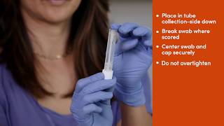 Fulgent COVID19 Nasal Swab Collection Instructions [upl. by Chadwick]