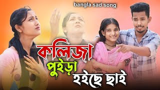 কলিজা পুইরা হইলো ছাই Kolija puira hoylo Shai Bangla Sad song Safikul RJ Music [upl. by Euqinemod185]