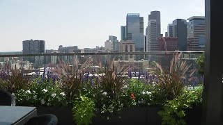 Looking to create a rooftop garden Heres what goes into building one [upl. by Ogren]