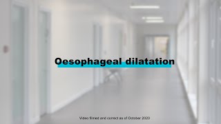 Endoscopy Procedures  Oesophageal Dilatation [upl. by Nahtanoj]