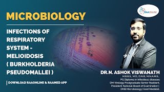 Microbiology  Melioidosis  Burkholderia pseudomallei  Raaonline [upl. by Annoik]