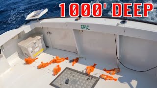 Fishing 1000 DEEP At Oregon Inlet Deep Dropping Tilefish and more [upl. by Koah]