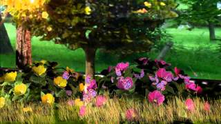 3D Garden Animation [upl. by Janene]