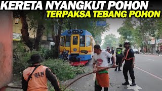 Momen Kereta Api Ukur Ciremai Berhenti tengah jalan karena terhalang pohon rel nya [upl. by Hirza]