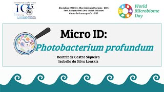 Micro ID Photobacterium profundum [upl. by Llemhar]