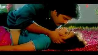 Tum Mile Dil Khile or jenay  mp4 [upl. by Aremus]