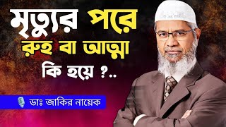 রুহ কি । মৃত্যুর পরে আত্মার কোথায় থাকে। Dr Zakir Naik Bangla Lecture । [upl. by Threlkeld]