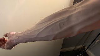 VEINY FOREARM WORKOUT to get VEINS TO POP [upl. by Jaffe]