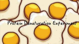 Protein Denaturation Experiment  Easy Biology Home Based Experiment part 2 [upl. by Auhel42]