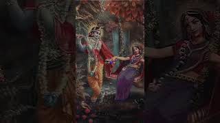 Radhe🌺 Krishna💙🦚 shorts ytshorts krishna radhekrishna trendingshorts ytfeed [upl. by Anchie]