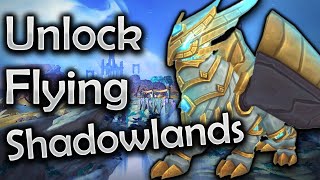 How to fly in Shadowlands  World of Warcraft  Quick Guide [upl. by Eveiveneg985]