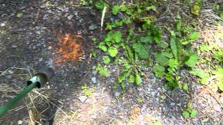 Clearing A Driveway With The Propane Weed Torch [upl. by Richella]