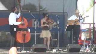 Fiddle  Sailors Hornpipe Oh Susanna Turkey in the Straw [upl. by Eissirc]