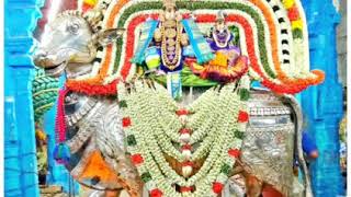 Pituku man sumanthu  Devotional song  Lord Shiva song [upl. by Appledorf]