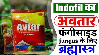 INDOFIL AVTAR  अवतार इन्डोफिल  fungicide  zineb  hexaconacole [upl. by Anidam241]