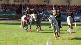 Lützower Jäger aus Redefin  Hengstparade Celle 03102015 [upl. by Assiled483]