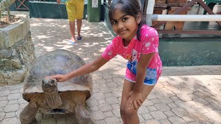 Moyenne island  Teddys Glass Bottom Boat  Island hopping  Seychelles  தமிழ்  Mahathi Vlogs 22 [upl. by Gawain]