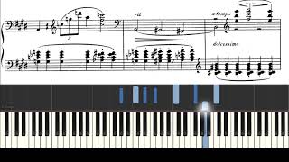 May Night by Selim Palmgren  Synthesia with Sheet Music [upl. by Wallinga304]