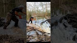 Extreme Water Flow  Beaver Dam Removal shorts beaverdam [upl. by Kalman]