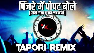 Pinjare Main Popat Bole  Meri Mena Tu Jab Jab Bole  Tapori Remix  Dj Mk PARTETI [upl. by Ybur829]