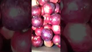 Shan e Baltistan Saspolo apple saspolo apple redapple pari saib fruit fruits red nature [upl. by June]