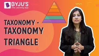 Taxonomy  Taxonomy Triangle  Learn with BYJUS [upl. by Benji960]